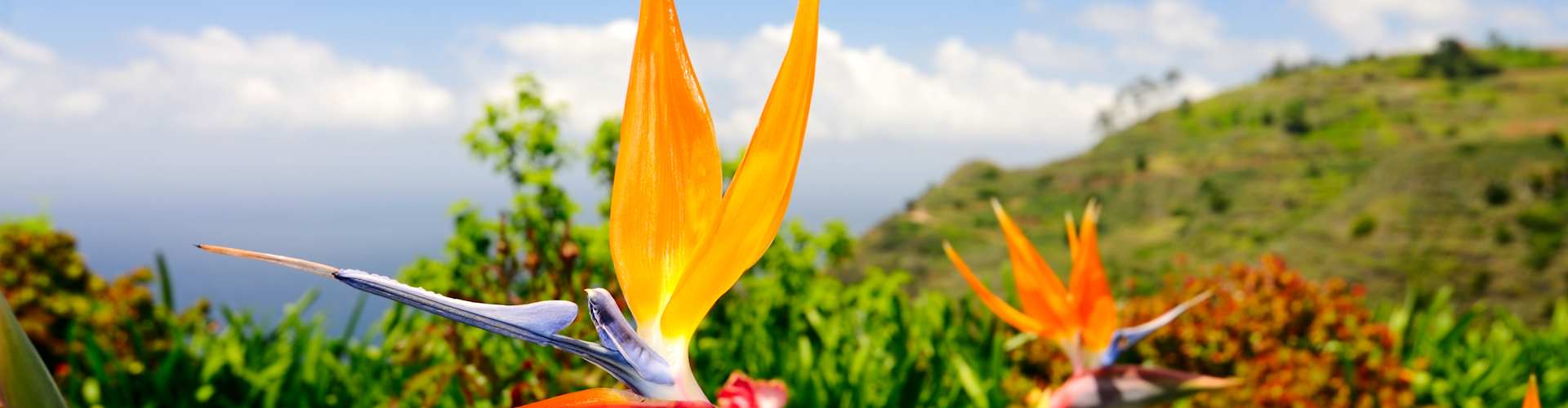 Spring Shore Excursions: The Best Things to Do in Port This Season